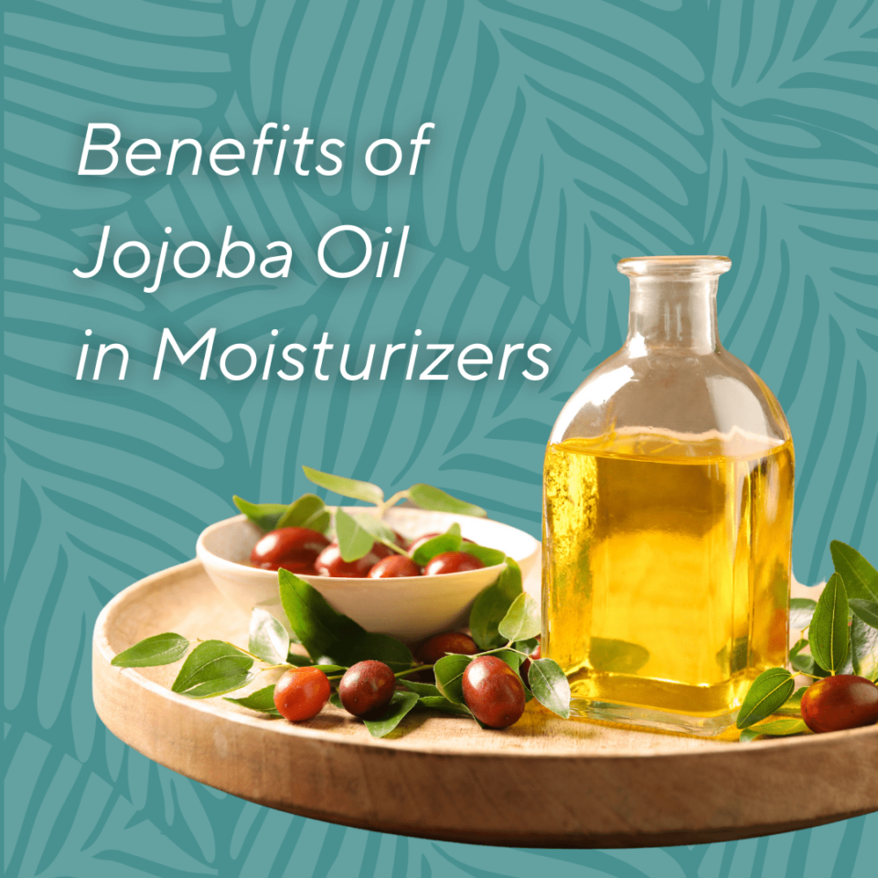 BENEFITS OF JOJOBA OIL IN MOISTURIZERS